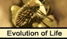 Evolution of Life