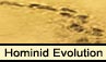 Hominid Evolution