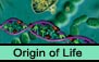 Origin of Life