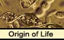 Origin of Life